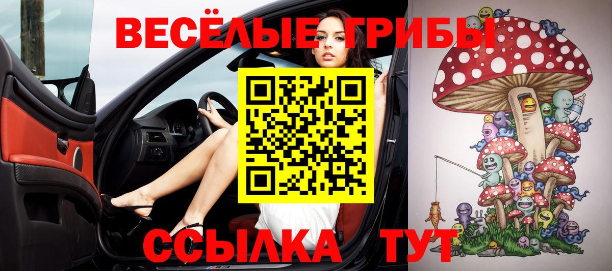 Псилоцибиновые грибы мухоморы  Вход с VPN  Киреевск  где можно купить наркотик  Псилоцибиновые грибы Cubensis 